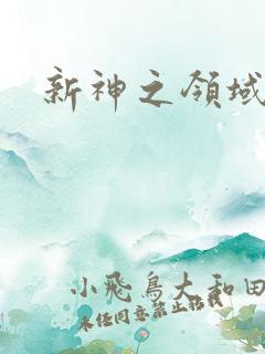 新神之领域