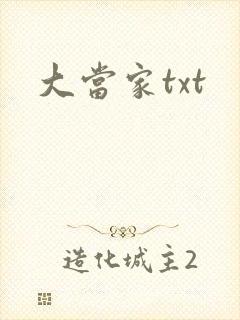 大当家txt