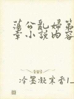 荡公乱妇第51章小说内容