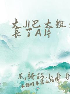 大JI巴太粗太长了A片