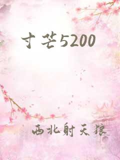 寸芒5200