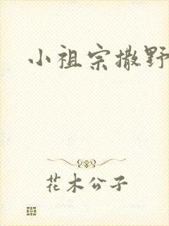 小祖宗撒野