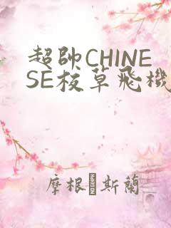 超帅CHINESE校草飞机BLUE