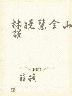 林晓慧金山的小说