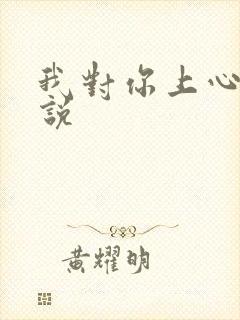 我对你上心了小说