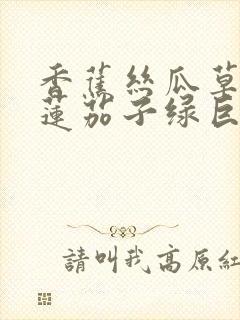 香蕉丝瓜草莓榴莲茄子绿巨人免费