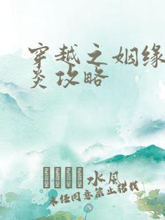 穿越之姻缘劫萧炎攻略