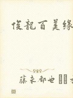 俊龙百美缘小说