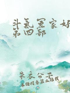 斗气冤家好兄弟第四部