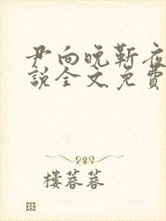 尹向晚靳夜擎小说全文免费阅读无弹窗