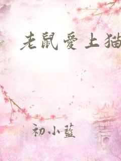 老鼠爱上猫下载