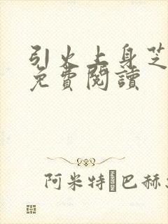 引火上身芝麻糖免费阅读