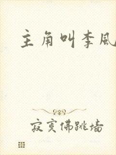 主角叫李风起