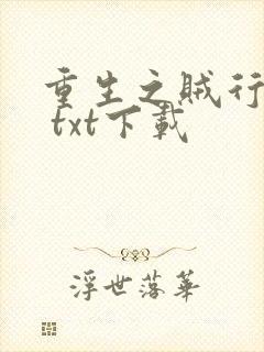 重生之贼行天下 txt下载