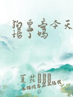 狗皇帝今天火葬场了吗