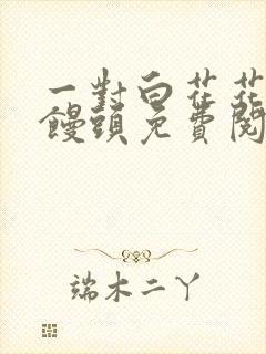 一对白花花的大馒头免费阅读