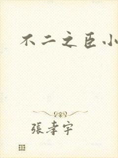 不二之臣小说