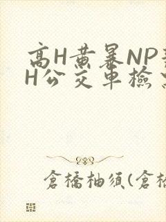 高H黄暴NP辣H公交车检票员