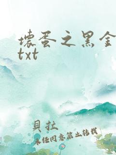 坏蛋之黑金帝国txt