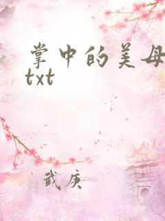 掌中的美母版主txt