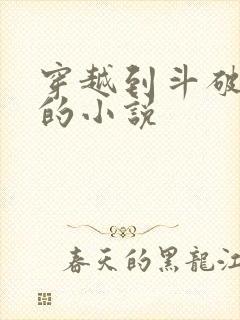 穿越到斗破苍穹的小说