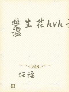双生花hvh予温