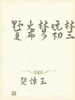 野火林晚林潮生夏布多初三边缘