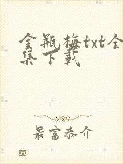 金瓶梅txt全集下载