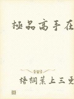 极品高手在异界