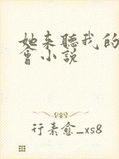 她来听我的演唱会小说