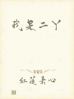我是二丫