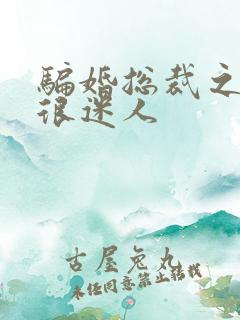 骗婚总裁之老婆很迷人