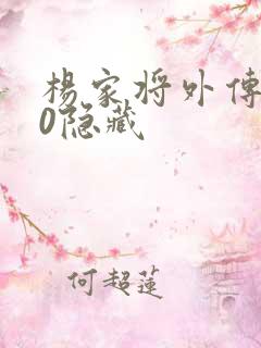 杨家将外传2.0隐藏