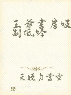 王爷书房吸乳抑制低吟