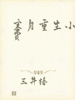 寒月重生小说免费