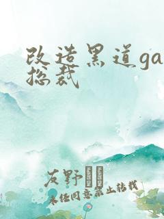 改造黑道gay总裁