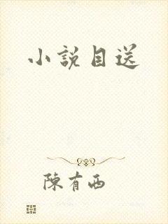 小说目送