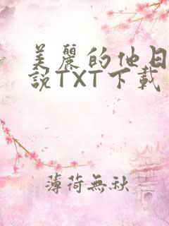 美丽的他日剧小说TXT下载