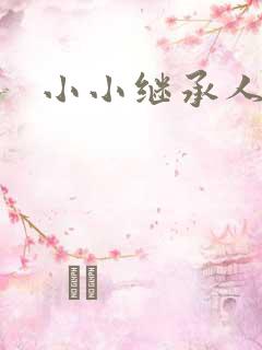 小小继承人
