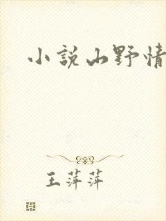 小说山野情债
