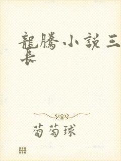 龙腾小说三宝局长