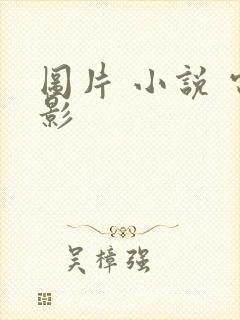 图片 小说 电影