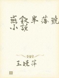 燕钗半落琥珀糖小说