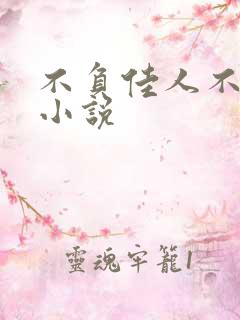 不负佳人不负卿小说