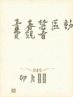 青春禁区动漫免费观看