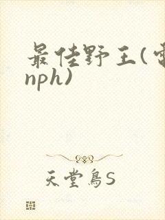 最佳野王(电竞nph)