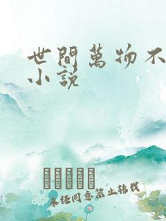 世间万物不及你小说