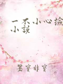 一不小心捡到爱小说