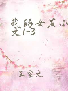 我的女友小洁全文1-3