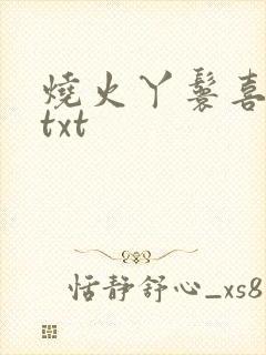 烧火丫鬟喜洋洋txt